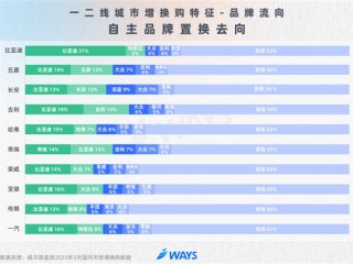 比亚迪车主忠诚度高的离谱：31%换车还买比亚迪！
