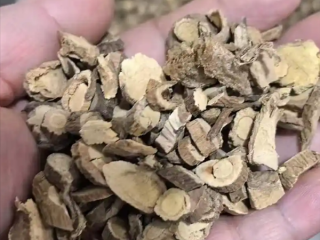 男子煎服15克山豆根中毒 医生：不能盲目相信偏方！
