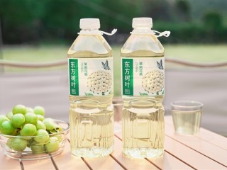 东方树叶出1.5L装 饮料为啥越卖越大：原因揭开！