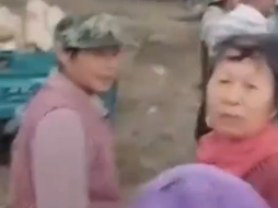 农民突发脑溢血 上百村民帮忙收玉米 网友:太暖心了！